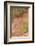 France, Vaucluse, Roussillon. Trees and Red Ochre at Sentier Des Ocres-Kevin Oke-Framed Photographic Print