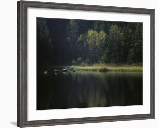 France, Vosges Mountains, Lac Du Lispach in Autumn-Andreas Keil-Framed Photographic Print