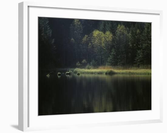 France, Vosges Mountains, Lac Du Lispach in Autumn-Andreas Keil-Framed Photographic Print