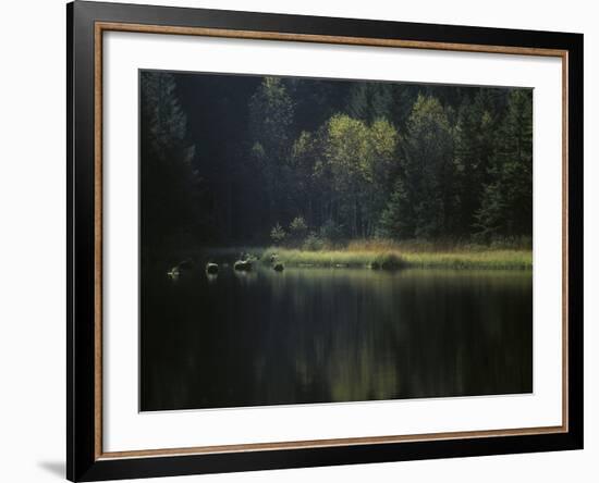 France, Vosges Mountains, Lac Du Lispach in Autumn-Andreas Keil-Framed Photographic Print