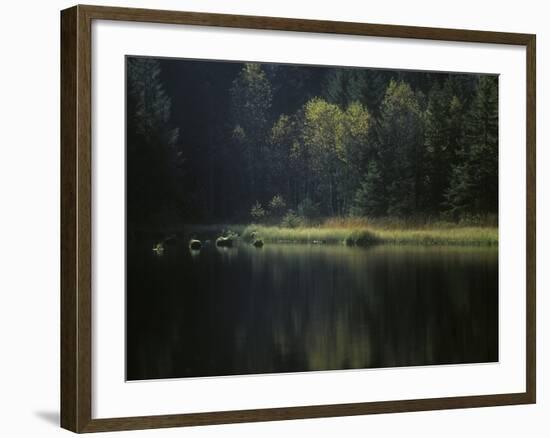 France, Vosges Mountains, Lac Du Lispach in Autumn-Andreas Keil-Framed Photographic Print