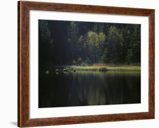 France, Vosges Mountains, Lac Du Lispach in Autumn-Andreas Keil-Framed Photographic Print