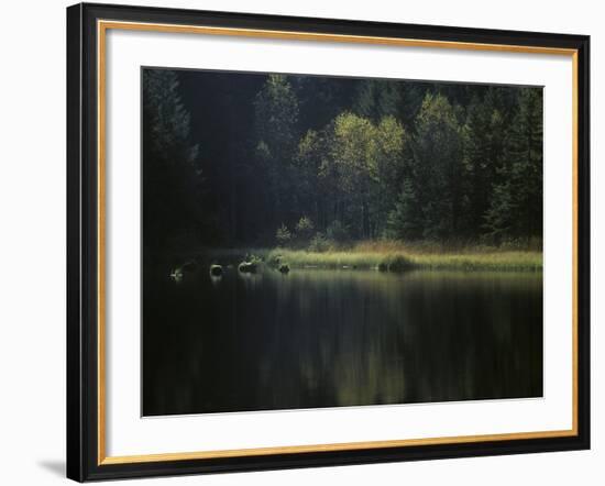 France, Vosges Mountains, Lac Du Lispach in Autumn-Andreas Keil-Framed Photographic Print