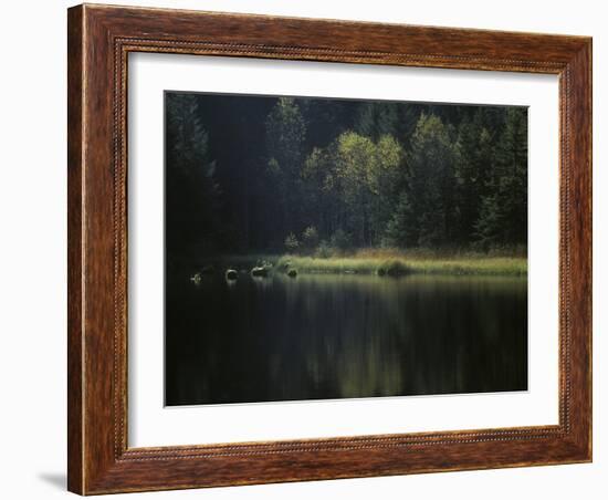 France, Vosges Mountains, Lac Du Lispach in Autumn-Andreas Keil-Framed Photographic Print