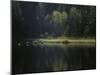 France, Vosges Mountains, Lac Du Lispach in Autumn-Andreas Keil-Mounted Photographic Print