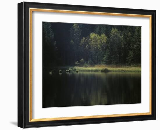 France, Vosges Mountains, Lac Du Lispach in Autumn-Andreas Keil-Framed Photographic Print