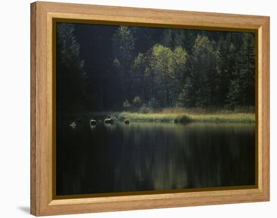 France, Vosges Mountains, Lac Du Lispach in Autumn-Andreas Keil-Framed Premier Image Canvas