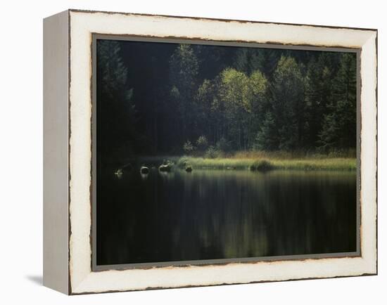 France, Vosges Mountains, Lac Du Lispach in Autumn-Andreas Keil-Framed Premier Image Canvas