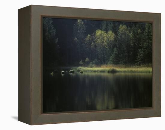 France, Vosges Mountains, Lac Du Lispach in Autumn-Andreas Keil-Framed Premier Image Canvas