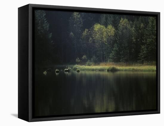 France, Vosges Mountains, Lac Du Lispach in Autumn-Andreas Keil-Framed Premier Image Canvas