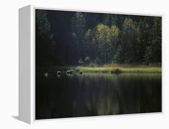 France, Vosges Mountains, Lac Du Lispach in Autumn-Andreas Keil-Framed Premier Image Canvas