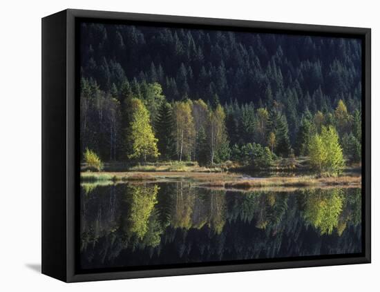 France, Vosges Mountains, Lac Du Lispach in Autumn-Andreas Keil-Framed Premier Image Canvas