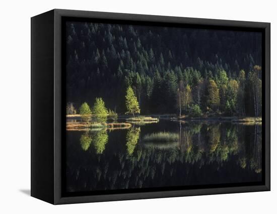 France, Vosges Mountains, Les Vosges, Lac Du Lispach in Autumn-Andreas Keil-Framed Premier Image Canvas