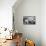 France-Maciej Duczynski-Photographic Print displayed on a wall