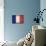 France-David Bowman-Giclee Print displayed on a wall