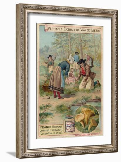 France-null-Framed Giclee Print