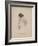 Frances Ann Kemble, Litho by Childs and Inman-John Hayter-Framed Giclee Print