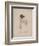 Frances Ann Kemble, Litho by Childs and Inman-John Hayter-Framed Giclee Print