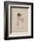 Frances Ann Kemble, Litho by Childs and Inman-John Hayter-Framed Giclee Print