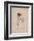 Frances Ann Kemble, Litho by Childs and Inman-John Hayter-Framed Giclee Print