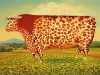 The Great Bull, 1998-Frances Broomfield-Giclee Print