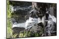 Photographic Print