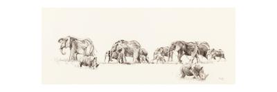 Elephant and Rhino, 2014-Francesca Sanders-Giclee Print