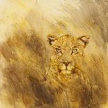 Lion roll, 2012,-Francesca Sanders-Giclee Print
