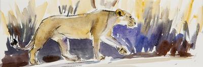 Warthog running, 2014-Francesca Sanders-Giclee Print