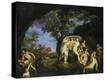 Stretched Canvas Print