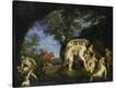 Stretched Canvas Print