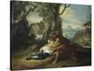 Stretched Canvas Print