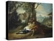 Stretched Canvas Print