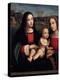 Stretched Canvas Print