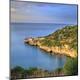 Premium Photographic Print
