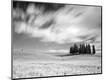 Photographic Print