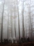 Fog-Francesco Martini-Premier Image Canvas