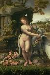 Flora, circa 1520-Francesco Melzi Or Melzo-Laminated Giclee Print