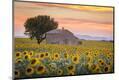 Photographic Print