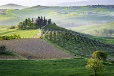 Val D'Orcia, Tuscany, Italy. a Lonely Farmhouse with Cypress and Olive Trees, Rolling Hills.-Francesco Riccardo Iacomino-Photographic Print