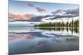 Photographic Print