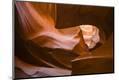 Photographic Print