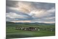 Photographic Print