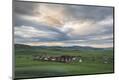 Premium Photographic Print
