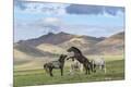 Premium Photographic Print