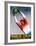 Francia-Italia Football, 1935-T^ Corbella-Framed Giclee Print