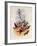 Francia's Azure-Crown, Cyanomyia Franci?-John Gould-Framed Giclee Print