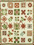 An Appliqued Cotton Album Quilt, circa 1852-Francina Stout Van Dyke-Laminated Giclee Print