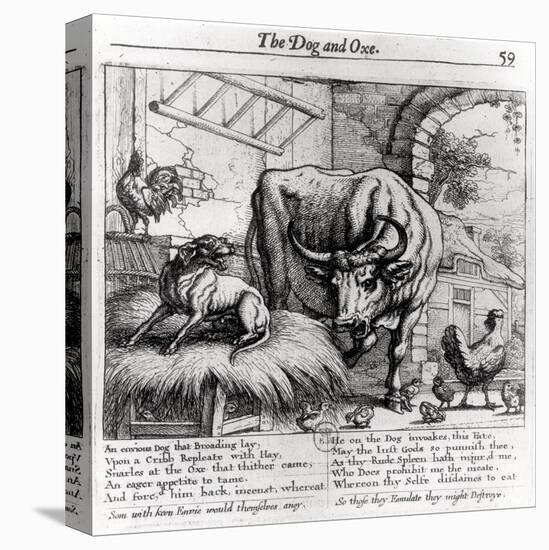 Stretched Canvas Print, , large