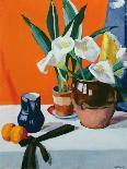 Arum Lilies-Francis Campbell Boileau Cadell-Giclee Print